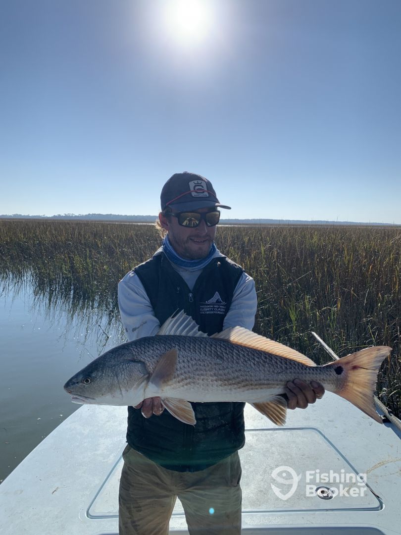 South Carolina Report Photo 0