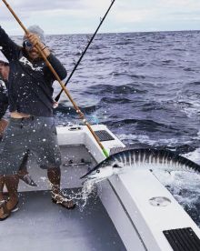 Fort Lauderdale Report Photo 2