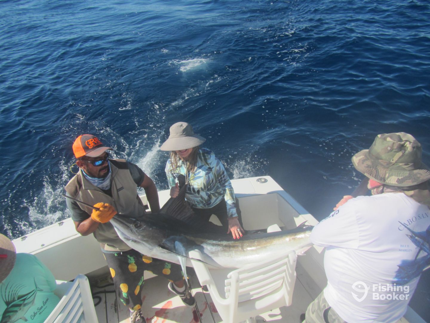 Cabo San Lucas Report Photo 0