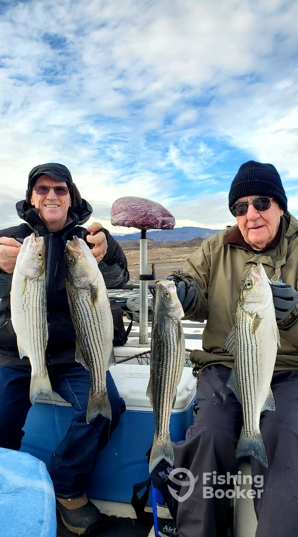 Nevada Report Photo 0