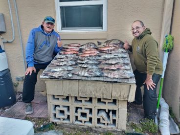 16 Sheephead and 8 Mangrove Snapper