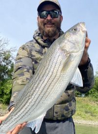 Northern California Report Photo 2