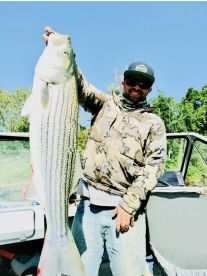 Northern California Report Photo 1