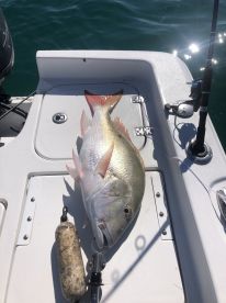 Florida Report Photo 1