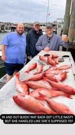 Mount Pleasant Report Photo 1