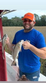 Mount Pleasant Report Photo 2