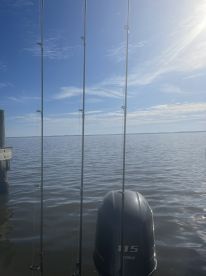 Spring break bull red run 