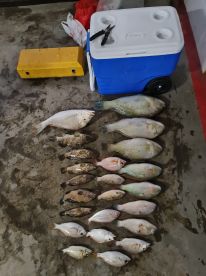 Singapore Report Photo 1