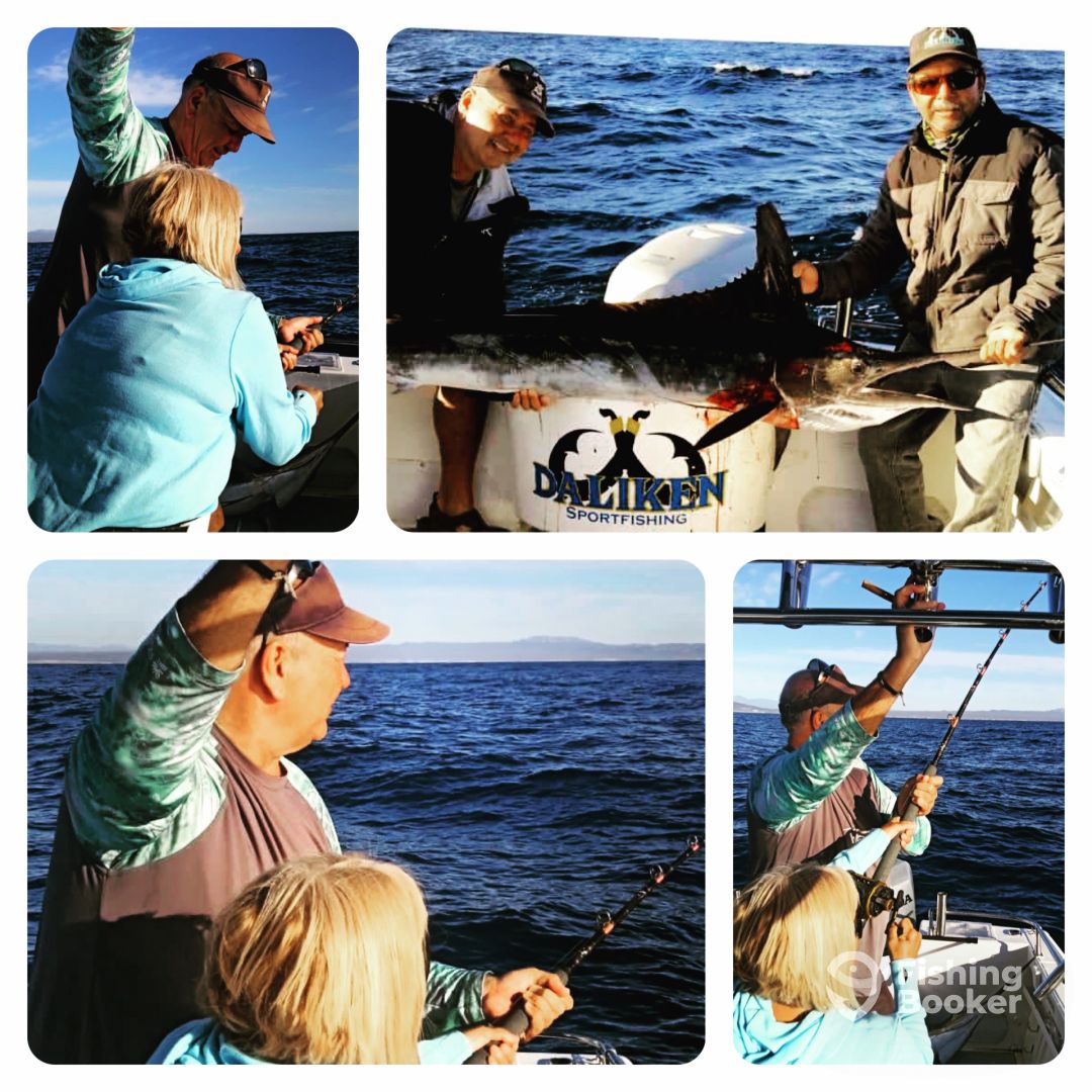 San Jose del Cabo Report Photo 0