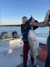 Galveston Report Photo 1
