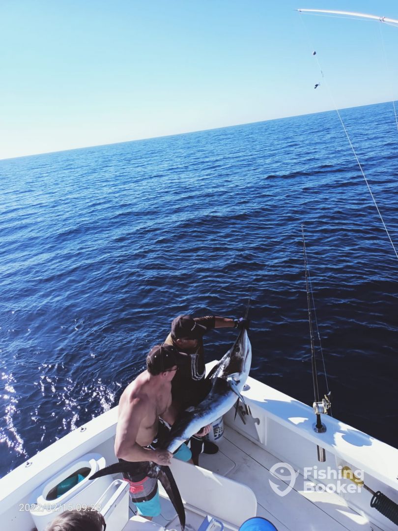 Cabo San Lucas Report Photo 0