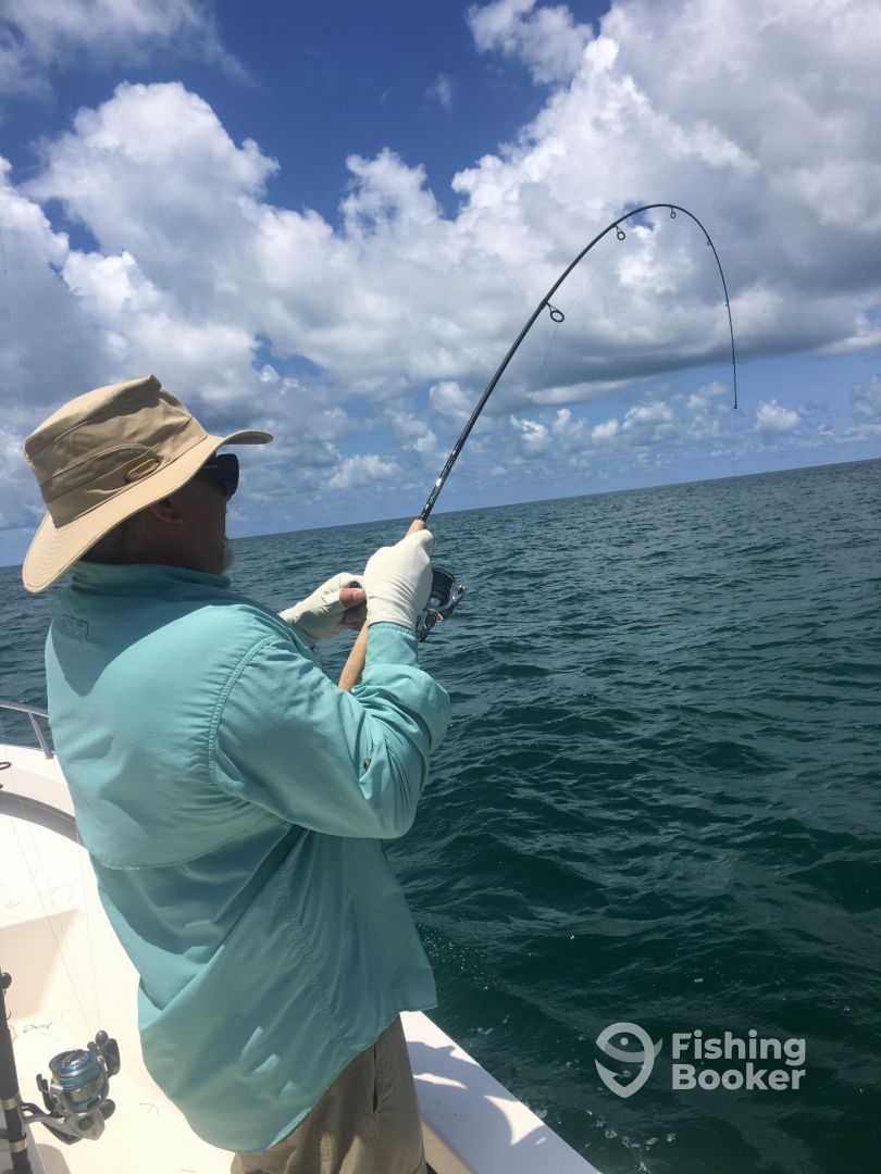 Sarasota Report Photo 1