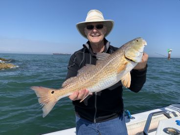 Galveston Report Photo 2