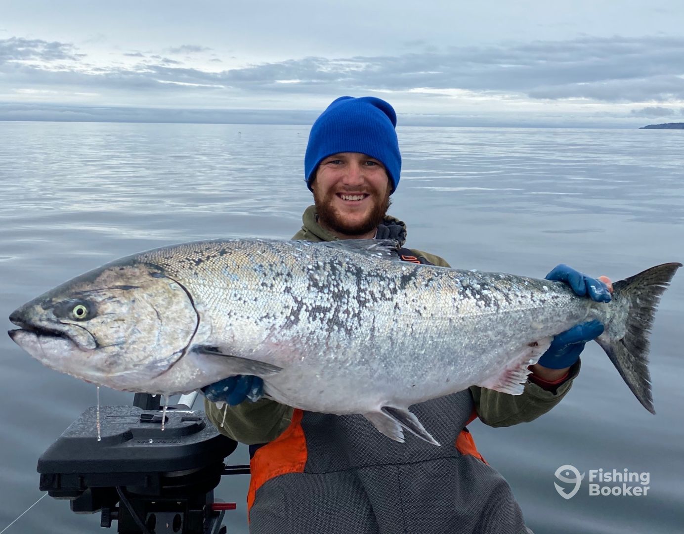 SPRING King Salmon