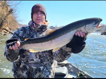 Oswego County Report Photo 4