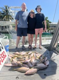 3/4 day Yellowtails