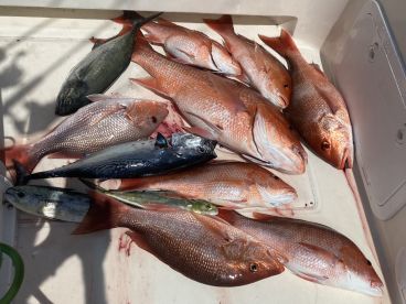 Destin Report Photo 1