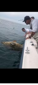 Clearwater Report Photo 2