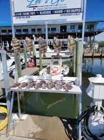 Biloxi Report Photo 2