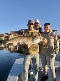 Galveston Report Photo 1