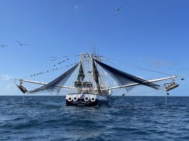 Stock Island Report Photo 1