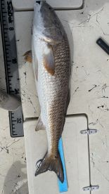 Happily hooked up…. at least one of us!!