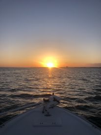 Destin Report Photo 2