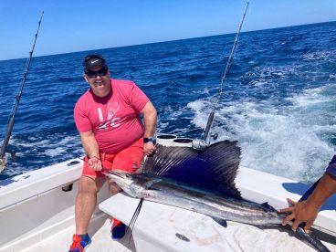 Sailfish