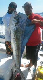 San Pedro Report Photo 1