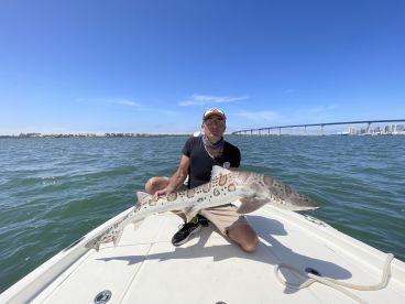 San Diego Report Photo 1