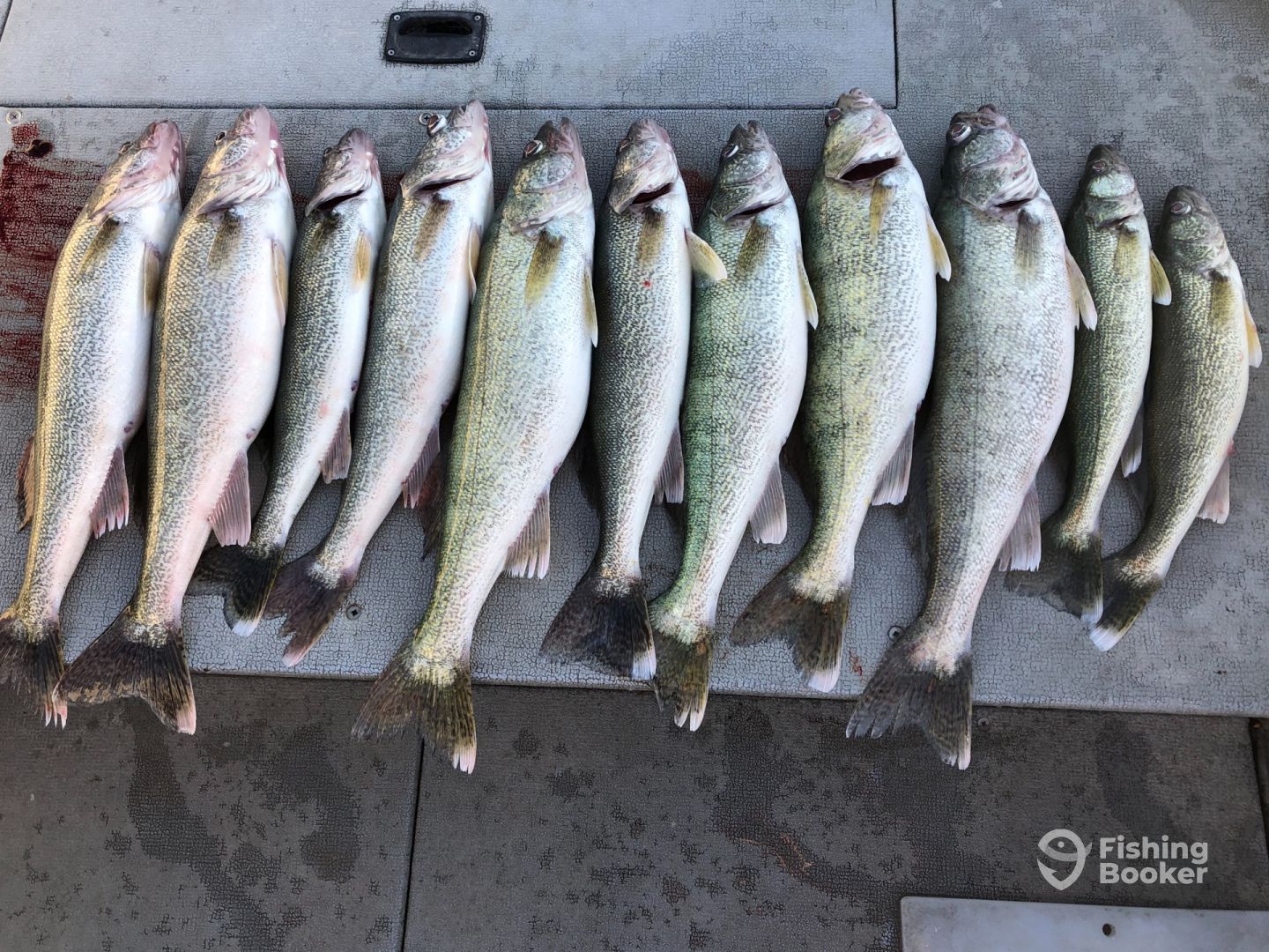 Manitoba Report Photo 0