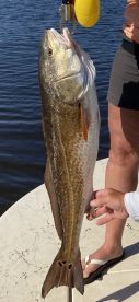Her biggest fish!