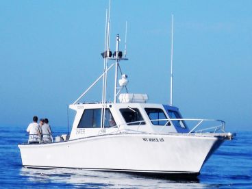 Montauk Report Photo 2