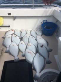 Montauk Report Photo 1