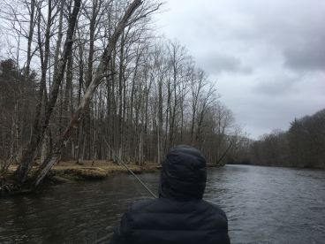 Oswego County Report Photo 1