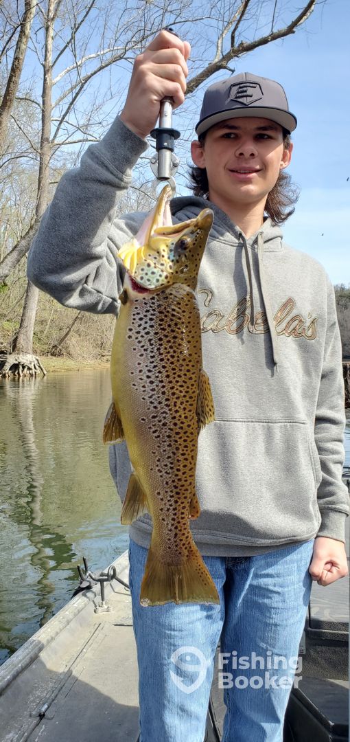 Table Rock Lake Report Photo 0