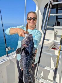 Black Seabass Season Opens Soon
