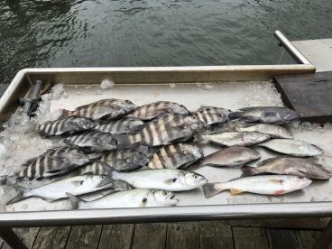 Emerald Isle Report Photo 2