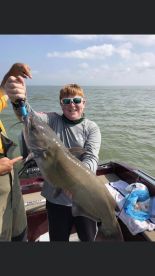 Catfish are starting to bite