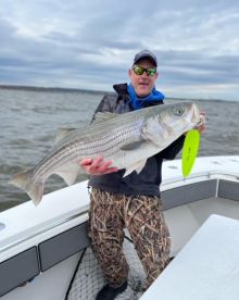 Awesome Striped Bass Fishing 4/23