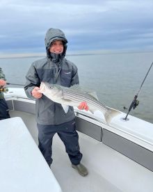 Highlands Report Photo 1