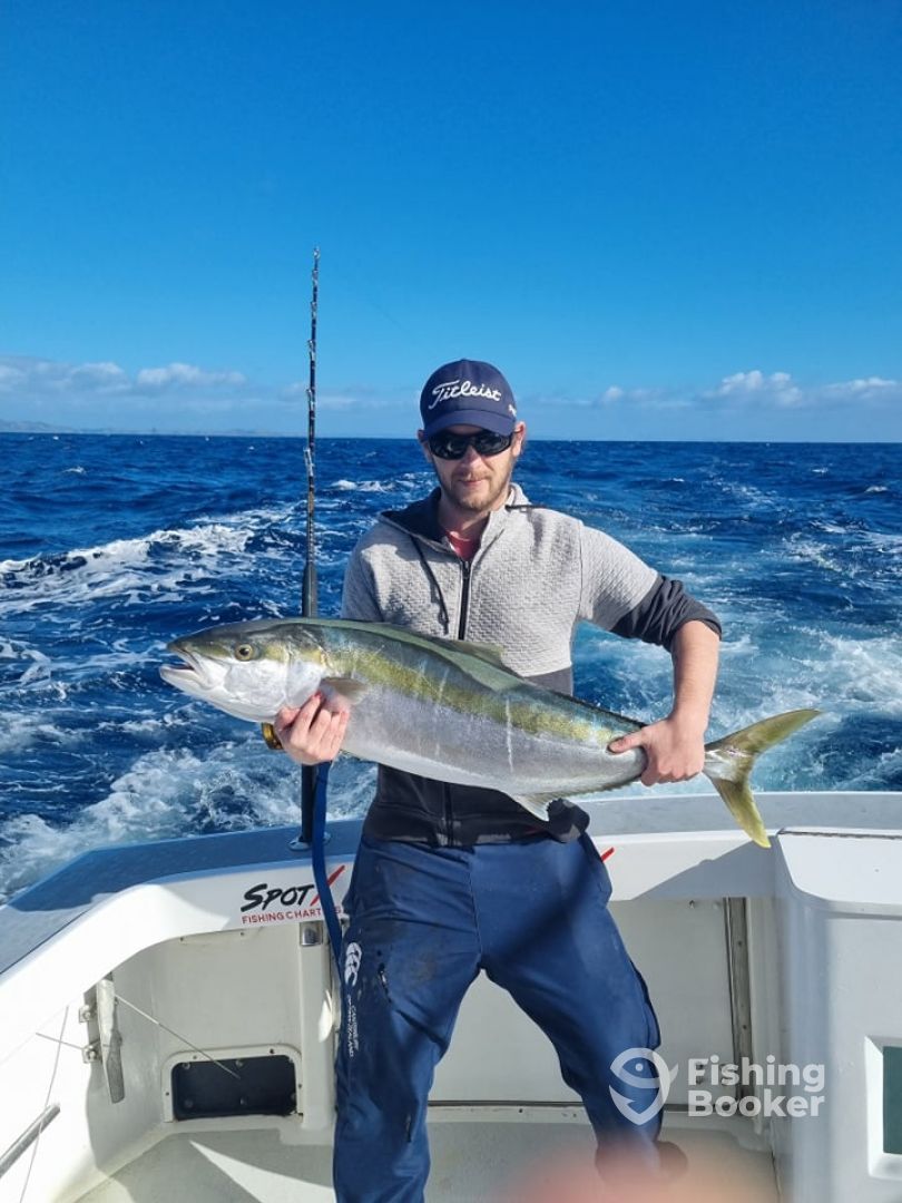 Bay of Islands kingfish April 2022