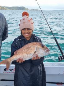 Bay of Islands snapper April 2022