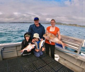 Bay of Islands snapper April 2022