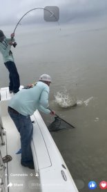 Venice Report Photo 1