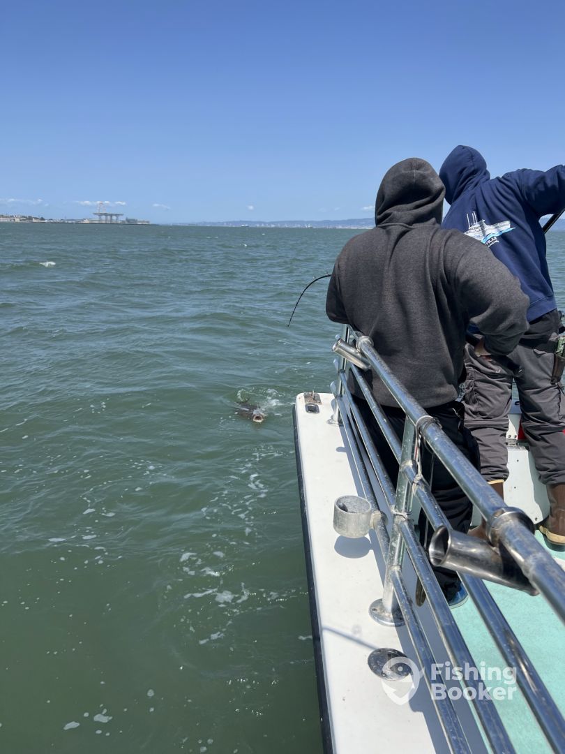 San Francisco Report Photo 0