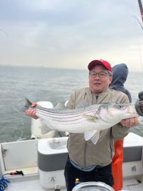 Highlands Report Photo 1
