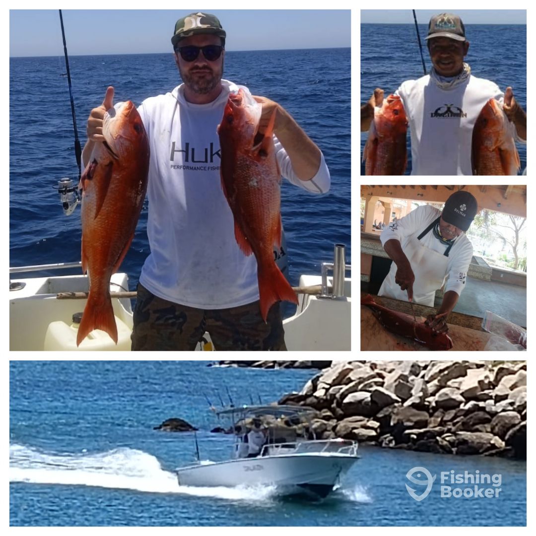 San Jose del Cabo Report Photo 0