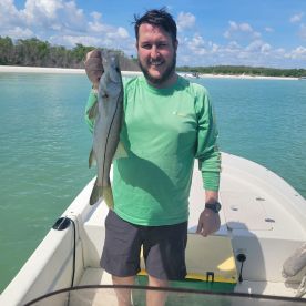 Collier County Report Photo 4