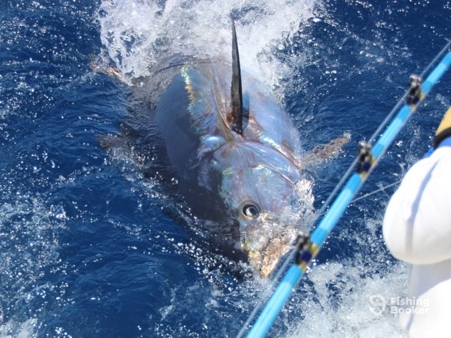 Canary Islands Report Photo 0